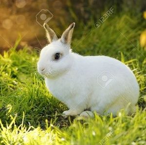 Meet your Posher, Joanne